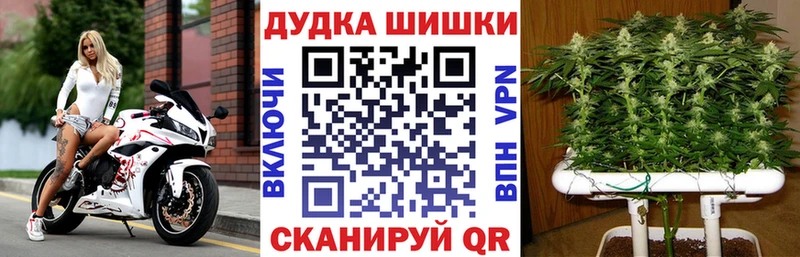 Псилоцибиновые грибы Отрадное