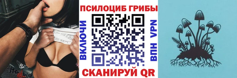 Купить Отрадное Галлюциногенные грибы ЛСД
